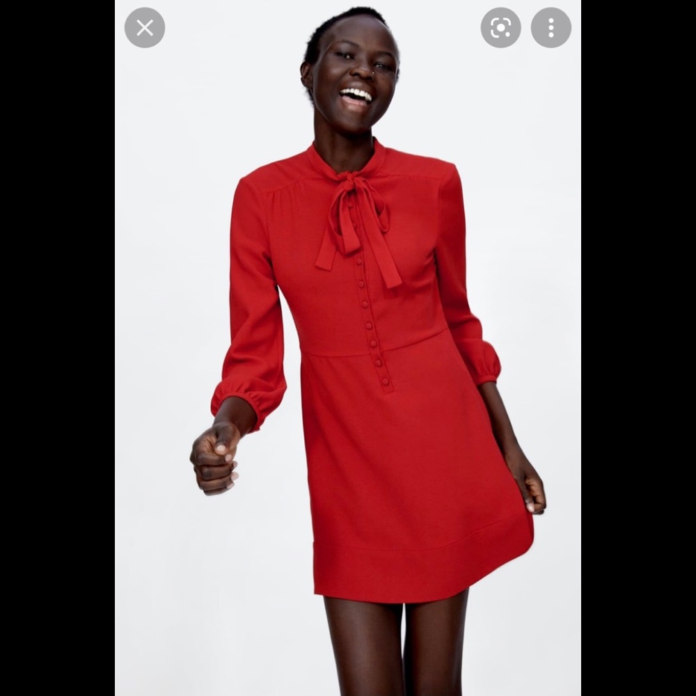 NWT Small Zara  Dress